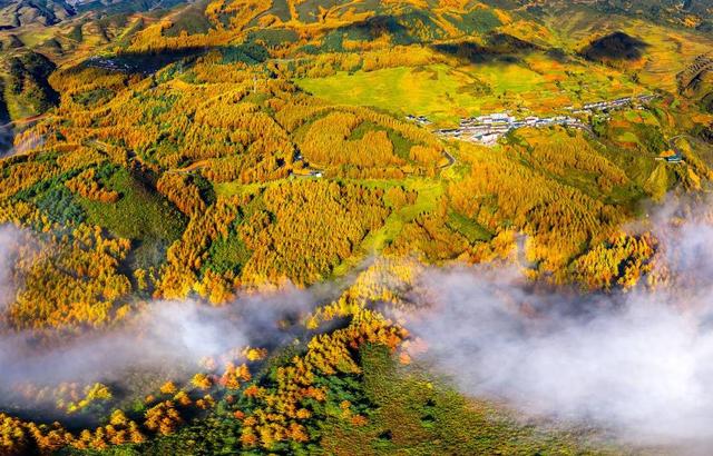 赏彩林不用去川西 凉山的“大兴安岭”，随手一拍就是大片！丨图集