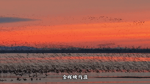 “动”“静”两相宜～颜值天花板～