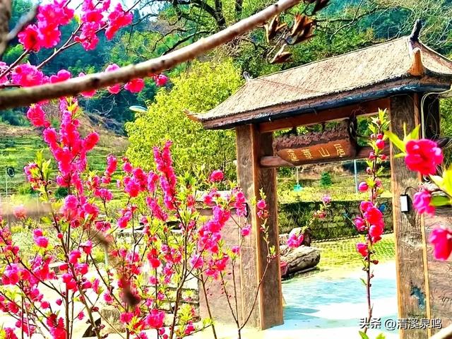 莲华山居隐诗意
