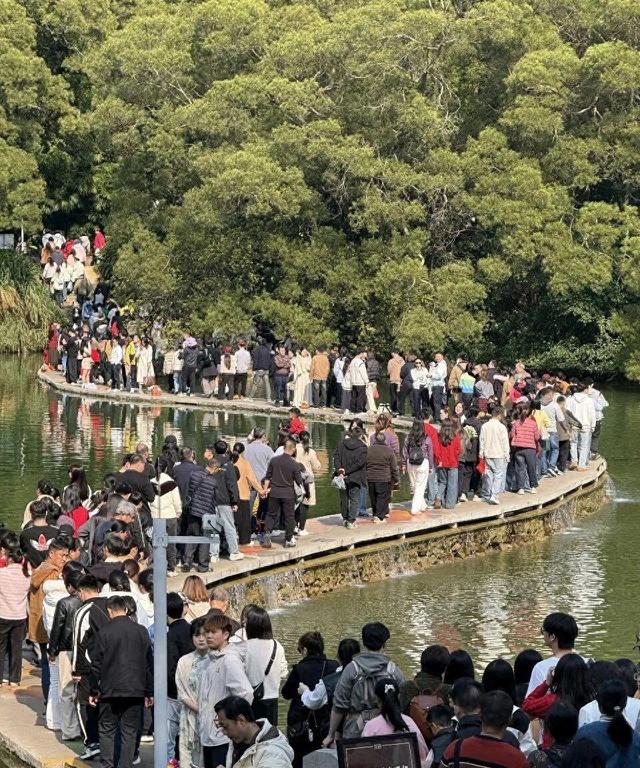 柳州春节“文惠桥”现场：螺蛳粉店挤爆，外地车霸占大街小巷