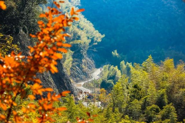 进化藏了个神仙徒步地，出片率极高！