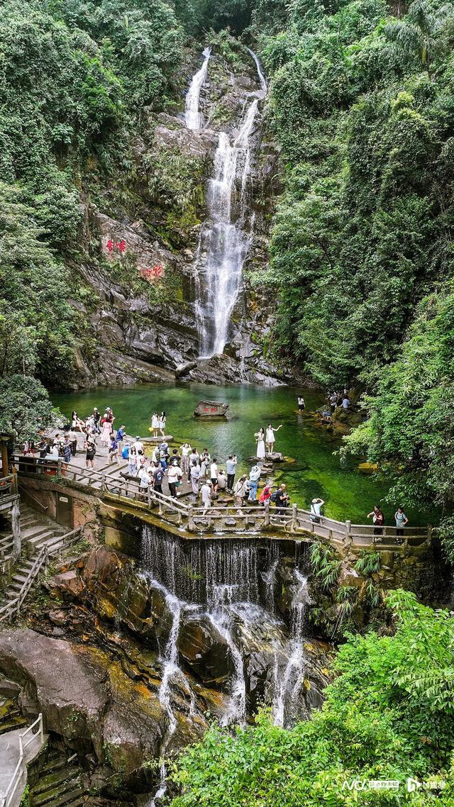 冰镇荔枝怎么做（解锁溪水冰镇荔枝吃法肇庆鼎湖山森系避暑体验超清凉）