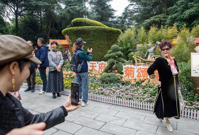 千株万朵菊花开，深秋又有春意来