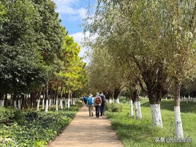 随走呈贡大学城,逛梁王湖、转小土林,感受多彩的秋冬世界,休闲