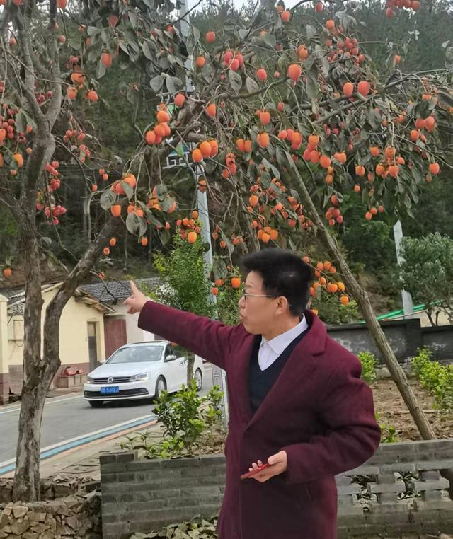 牛蹄岭雾中寻梦-陕西安康红色旅游一