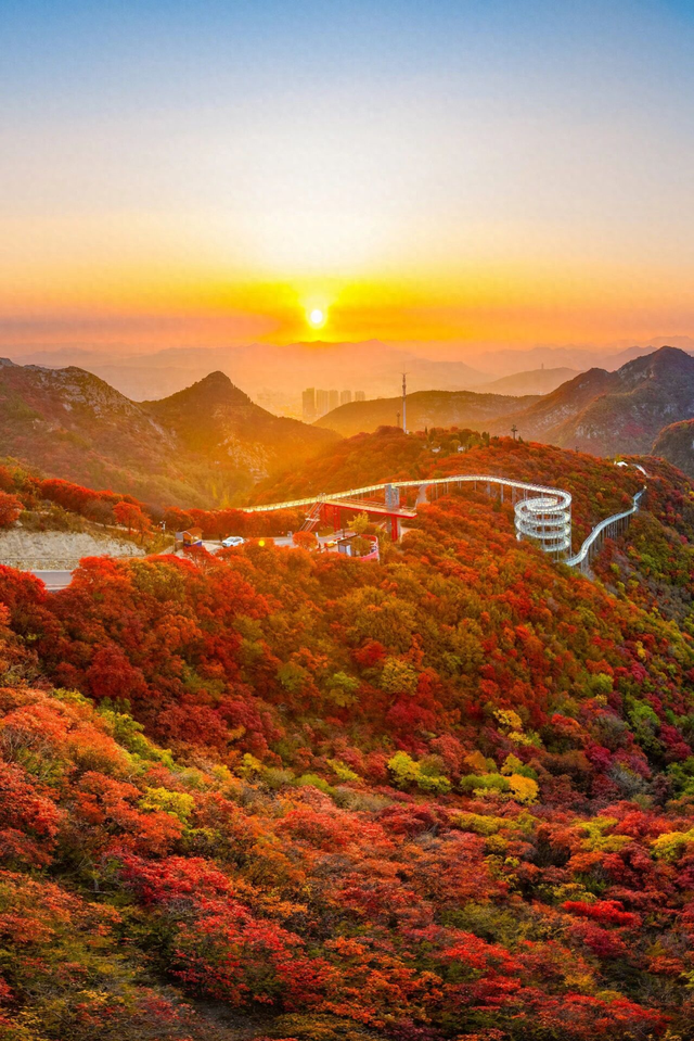 即刻出发，解锁淄博「秋日限定」模式，错过等明年！