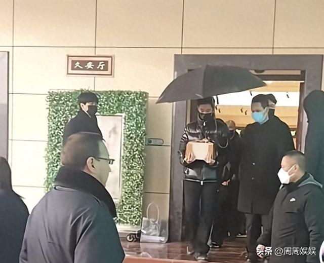 何晴儿子悼词句句催泪！公开母亲临终细节，捧骨灰动作全场泪目！