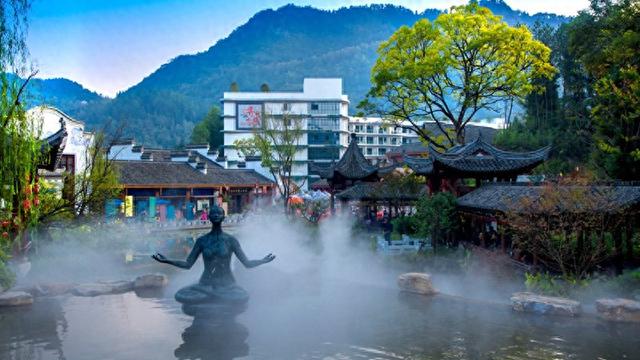 安徽休宁：“林下生金”绘就“绿富同兴”