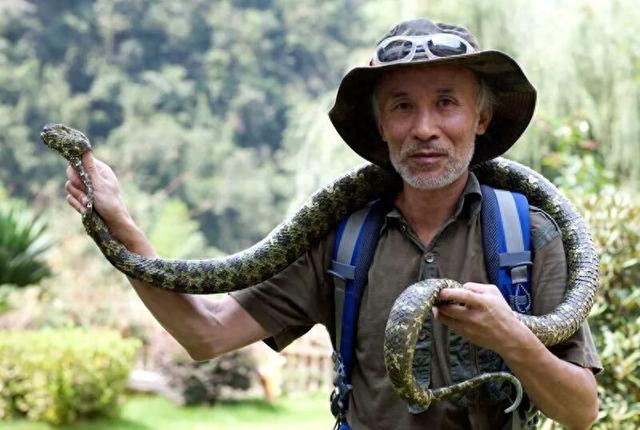 层林尽染时，我的思绪已飞往莽山的云海竹林间