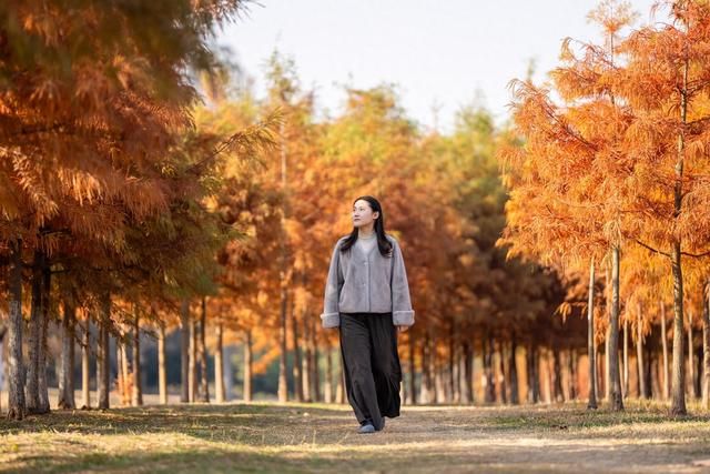 层林尽染！到合肥滨湖方兴湖公园打卡冬日浪漫