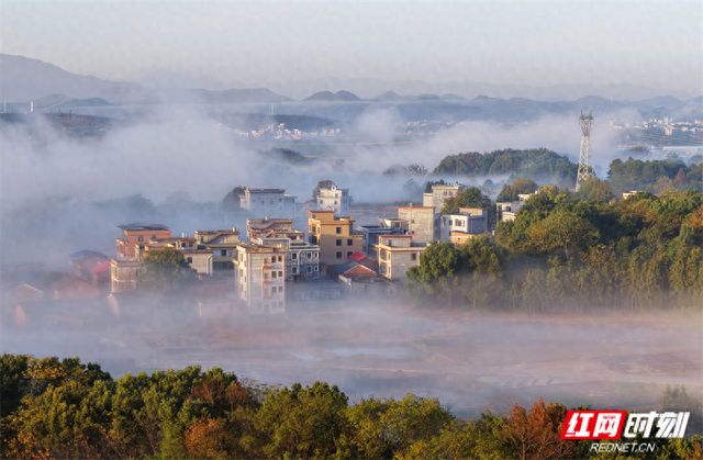 嘉禾县：冬日晨曦美如画
