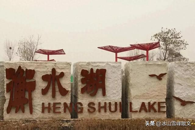 【随笔】与衡水湖对坐