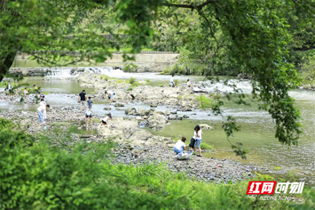 桂阳县：打造多元消费场景 激活夏日清凉经济