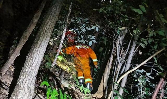 36人徒步登山走失 信阳消防连夜救援
