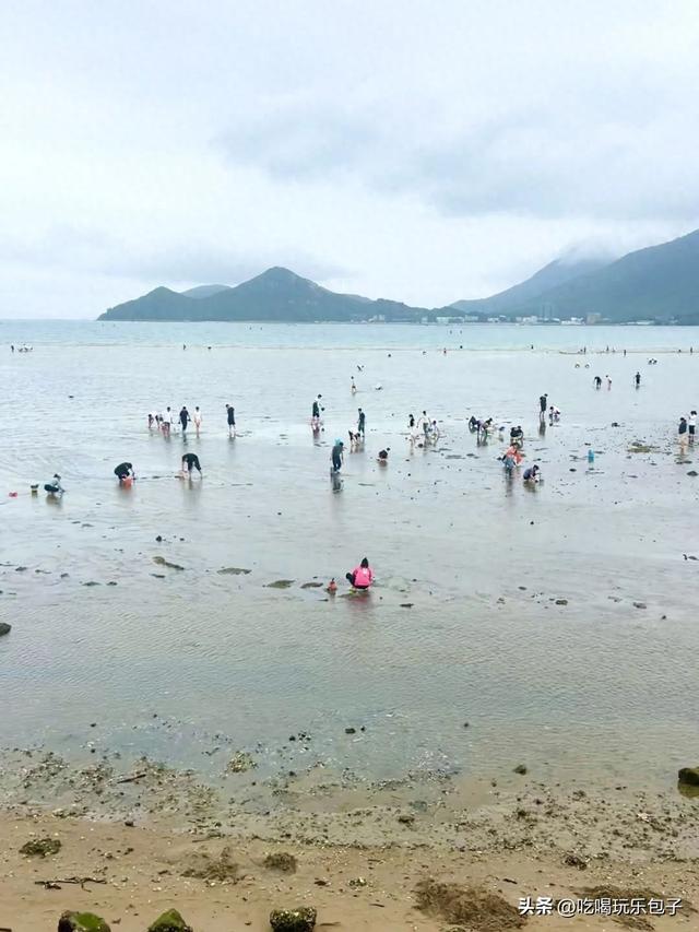 深圳2025年6月，赶海退潮时间