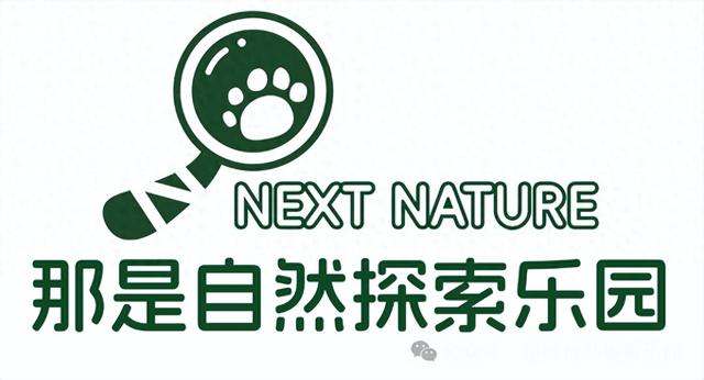 没有小角色 只有小爪爪｜首个动植物文旅社区国庆节南京开“宠”