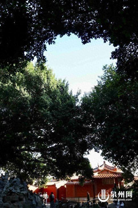 泉州开元寺抬头有惊喜 “爱心天空”引游客打卡
