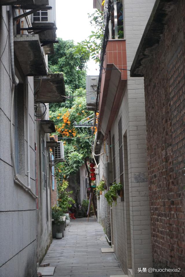 佛山真好逛——大墩村阿志茶空间