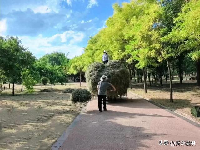 三防一体!新郑这里开展专项行动……
