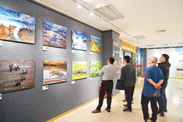 探寻“中华水塔”！三江源生态文化展在惠州开展