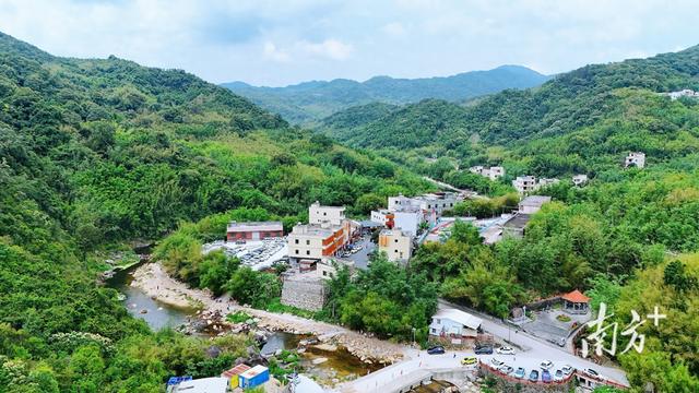 玩转阳西｜冬日的阳西，藏着一个“神仙小镇”