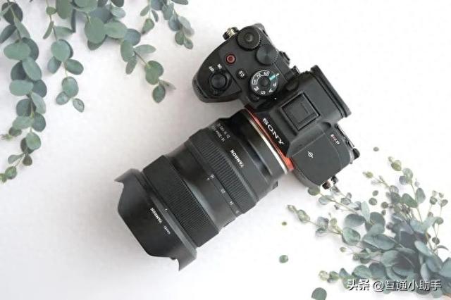 腾龙 16-30mm F/2.8 Di III VXD G2 评测 | 兼顾便携性的超广角变焦镜头
