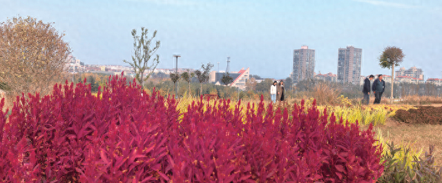 观海路竹林路山体生态修复工程成热门打卡地