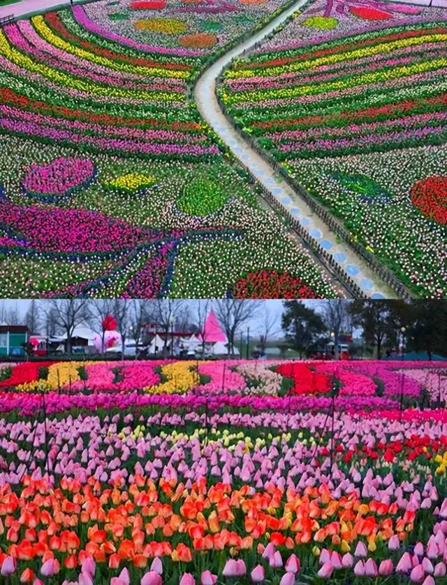 江波：花中栖居地
