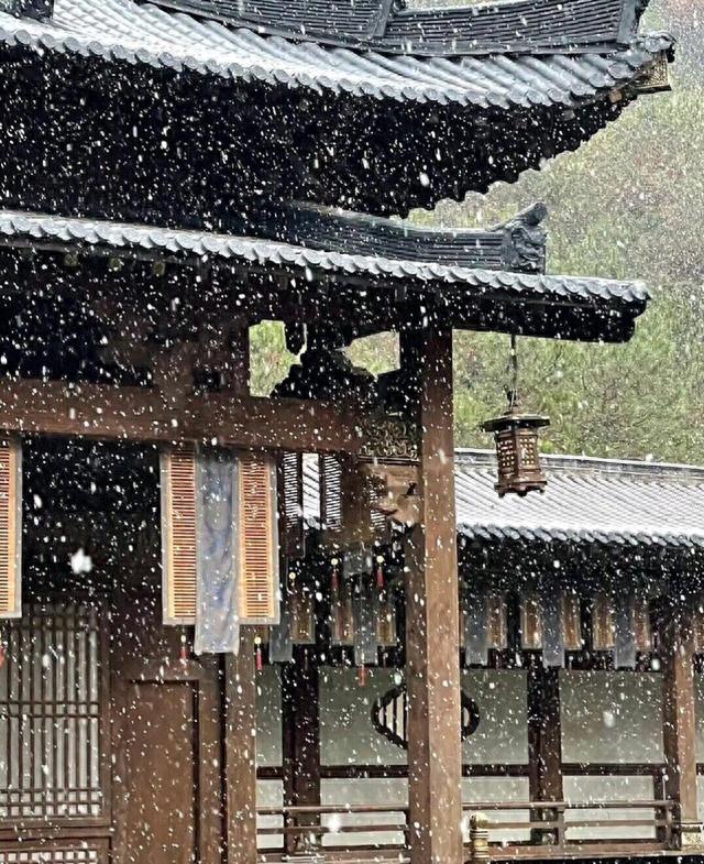 浮生只合尊前老雪满长安道是什么意思（一生一世后续）