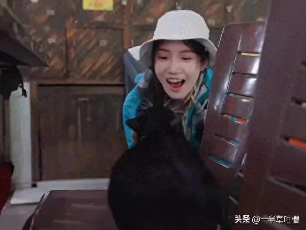 卢昱晓穿冲锋衣在雨林徒步 躺在树枝上睡觉松弛鲜活