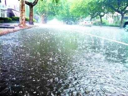 立秋大雨浇透北京，我的菜园还在喊渴呢？