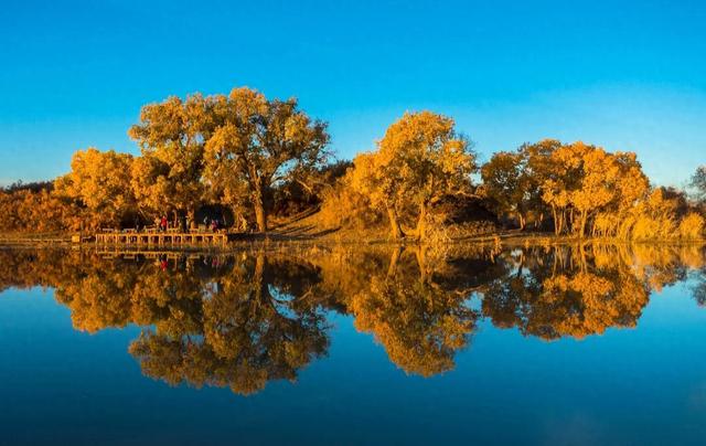 南疆的秋天真是太美了,就像金色的童话世界,有机会一定要去看看