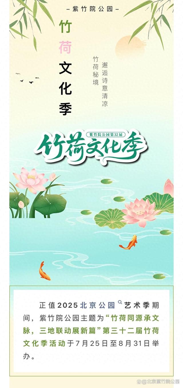 紫竹院公园竹荷文化季｜夏日清凉“竹荷秘境”上线！