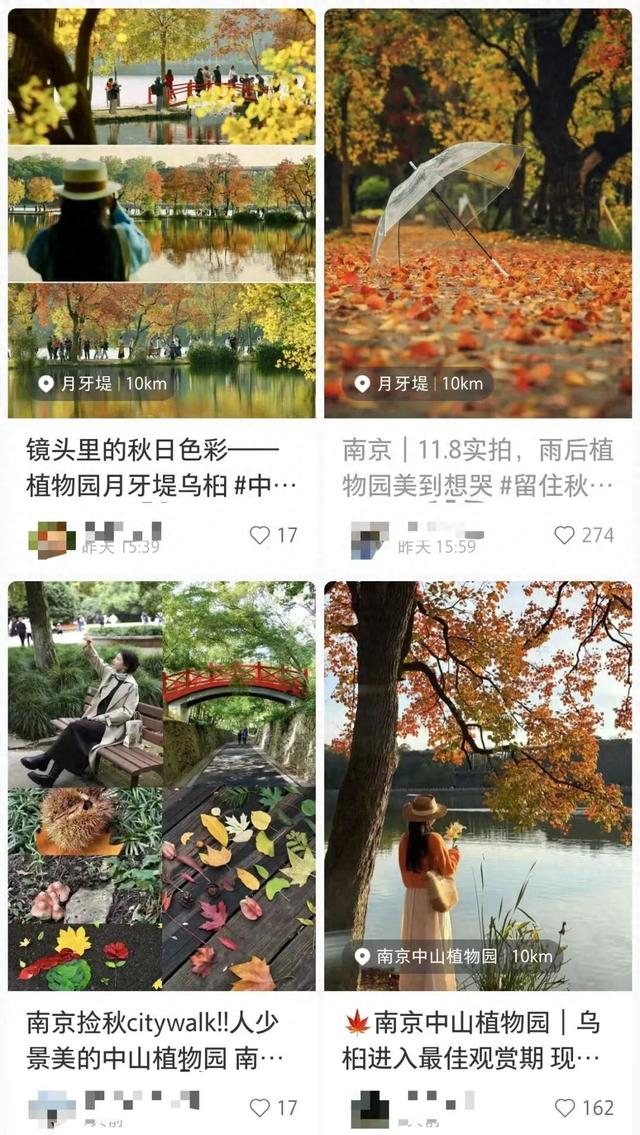 南京这里，美到刷屏了！