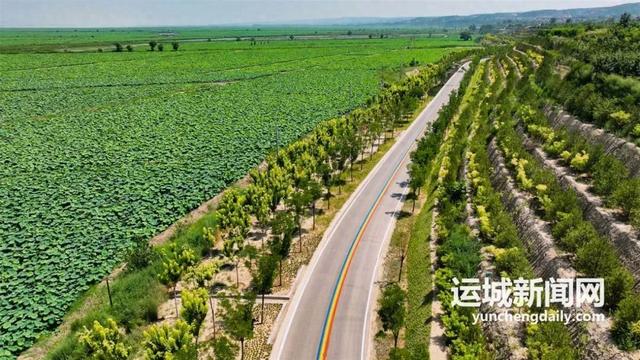 黄河一号旅游公路临猗段：黄河浪激处 大道谱新篇