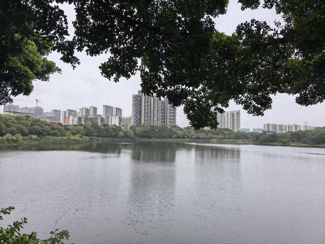 我在广东旅游期间有5个收获