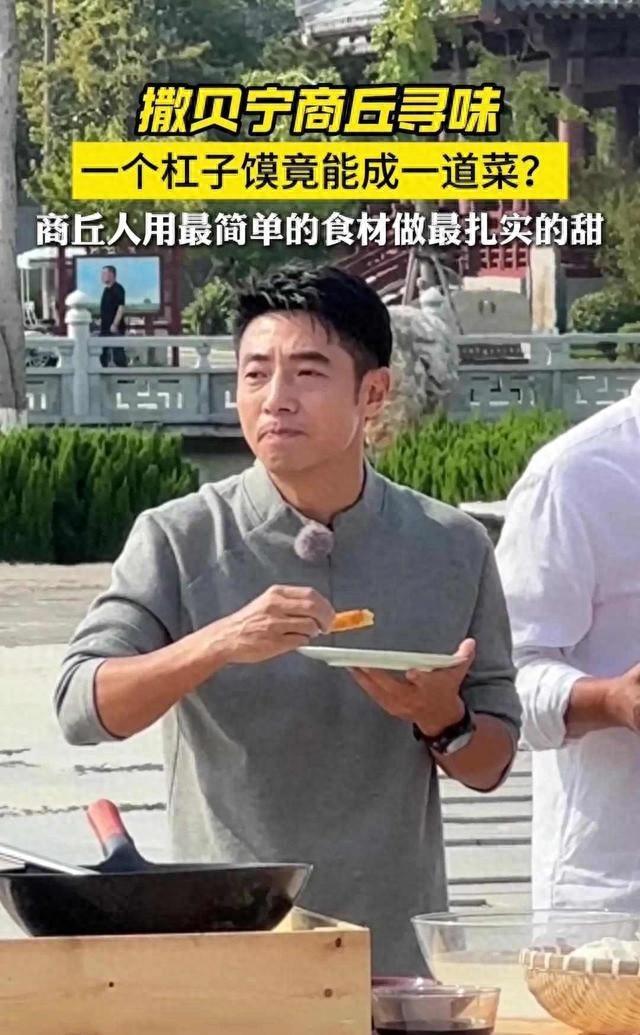 离谱了！撒贝宁来一趟商丘，让很多本地人懵了：第一次听说这东西