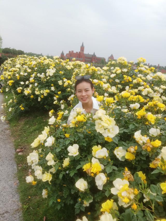 走进什邡，读懂重生