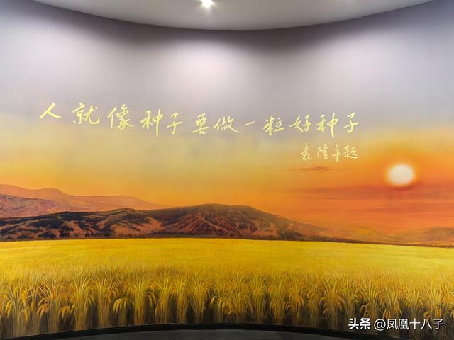 一粒种子改变世界（走进怀化安江农校探寻袁隆平院士足迹）