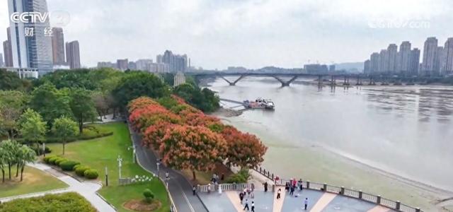 秋日“限定版”美景催热赏秋游 消费市场释放高质量发展新潜力