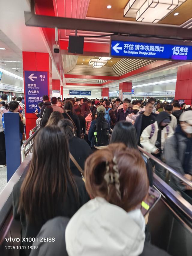 怀念杨老