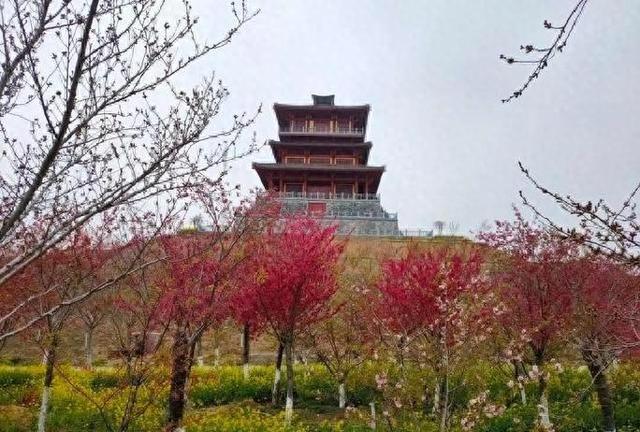 圈个地方就收钱？从荥阳文旅聊聊，为什么更多的项目是半死不活！