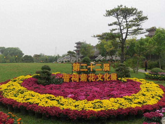 这个假期来晋祠园林中心观菊花展！