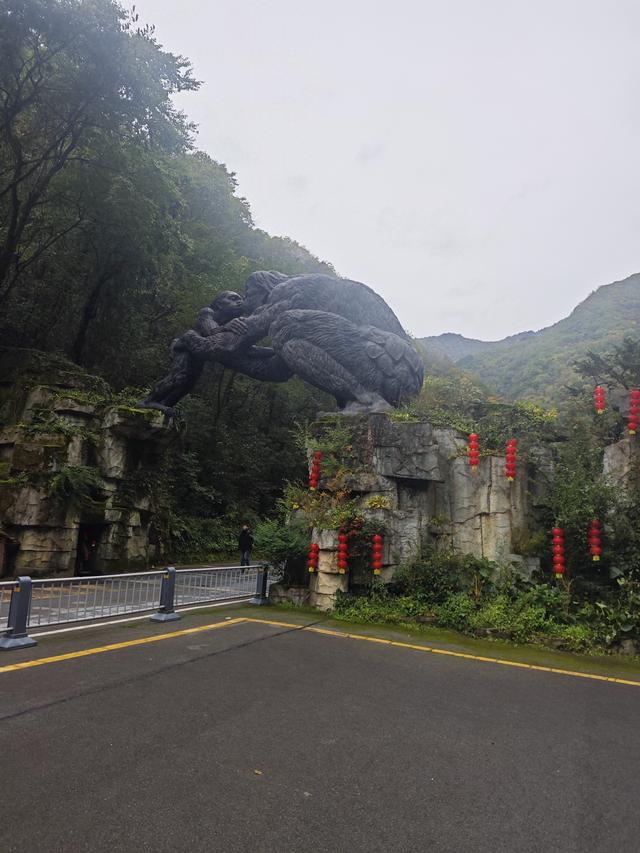 官门山遇熊猫爵爷：黑猿抱臂迎客，清溪漫谈秋日闲