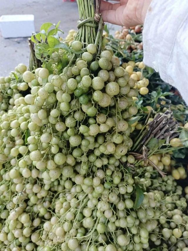 广东人夏天都吃不停了，实属是怕了，怕了