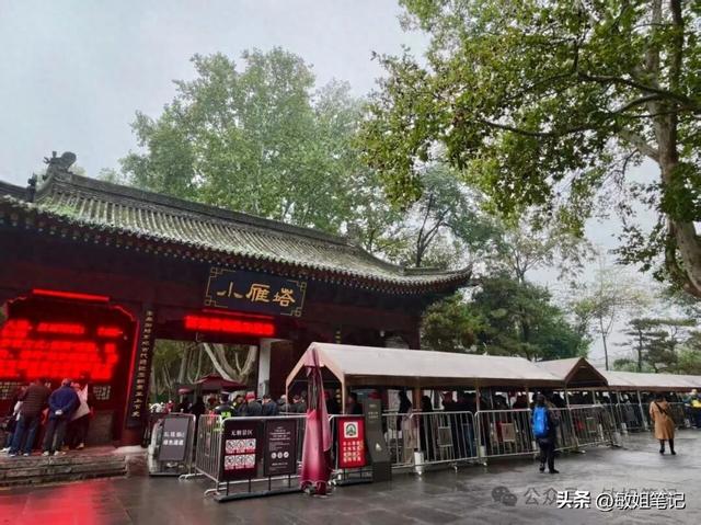 【西安游学之三】文博探秘：西安博物院