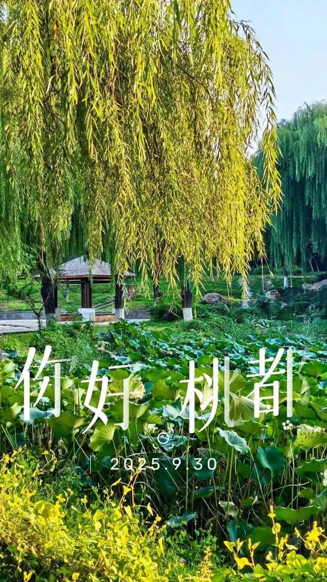 你好，桃都！『2025.9.30』