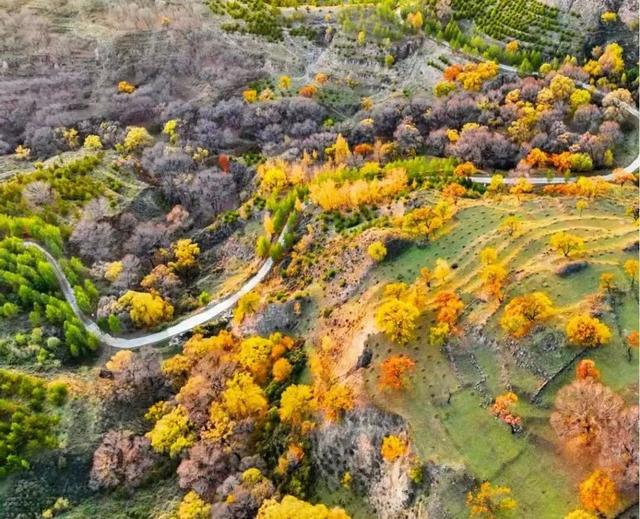 朔州右玉：塞外仙境