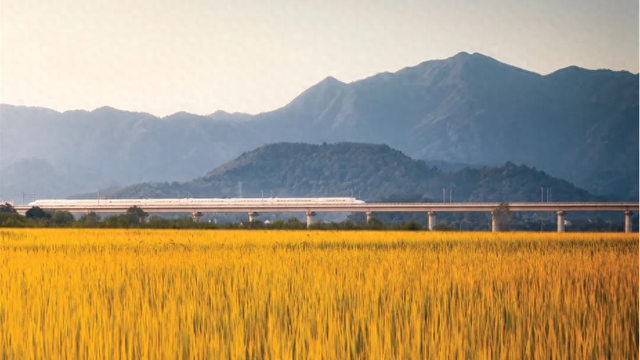 浙江春秋假开始实施 旅游专列包车服务上线