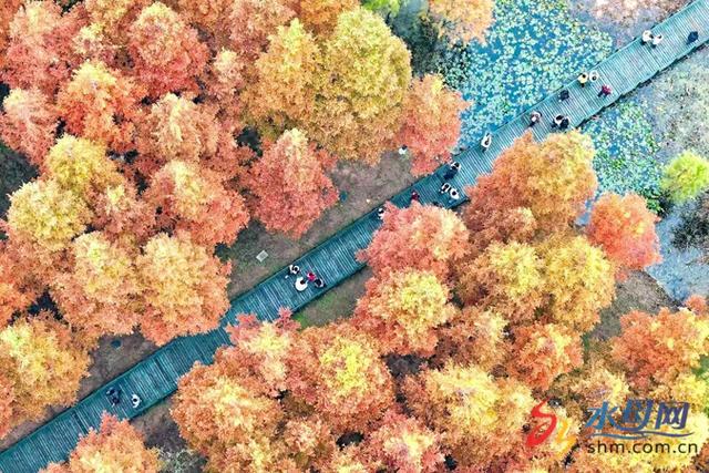 牟平区鱼鸟河湿地公园